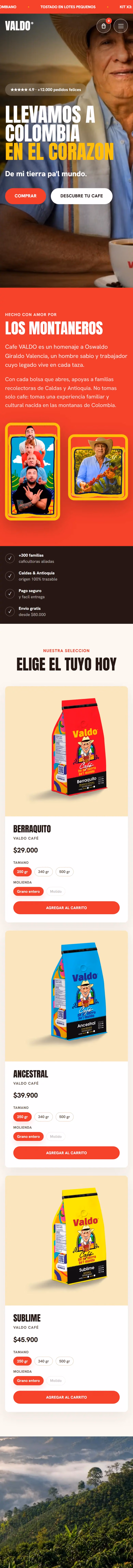 Valdo Café: página de inicio completa en celular.
